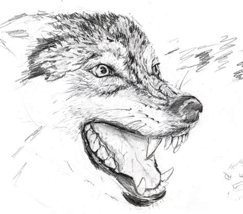 Angry Wolf by SilmaSan on DeviantArt