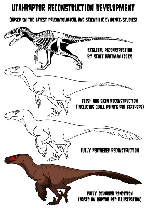 Utahraptor Reconstruction Development by codylake on DeviantArt | Dinosaur drawing, Dinosaur art ...