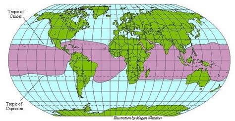 Areas of the world where coral reefs can grow | Download Scientific Diagram