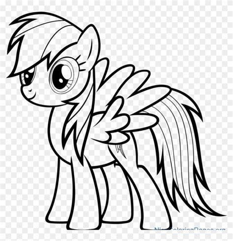 Rainbow Dash Photo Drawing - My Little Pony Rainbow Dash Drawing, HD Png Download - 894x864 ...