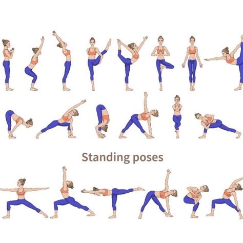 best standing yoga poses for seniors image – Yoga Poses