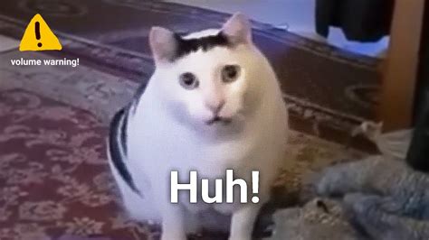 Huh Cat Meme Sound Variations in 60 seconds - YouTube