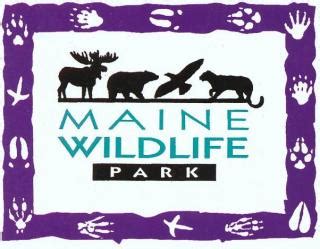 FREE Maine Wildlife Park Admission | Gray, ME