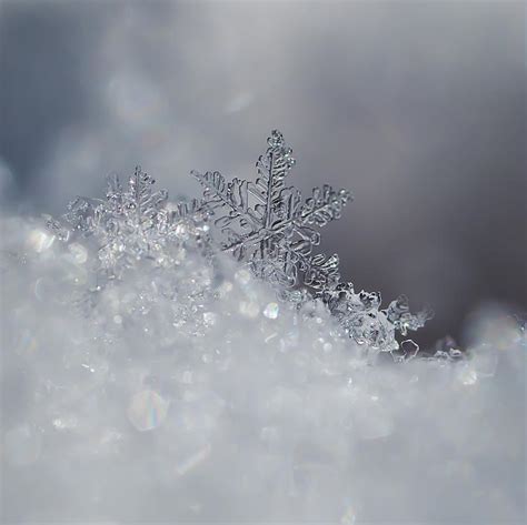 Crystal Snowflake by Bronze Riser