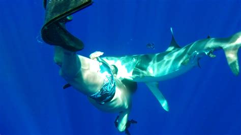 Oceanic Whitetip Shark Attacks Diver | Shark Week | Discovery