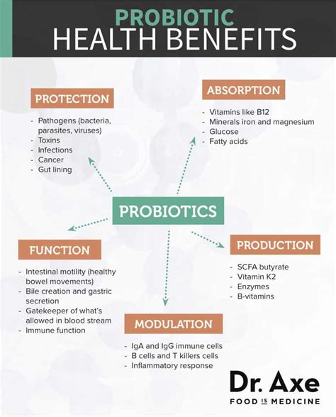 Probiotics Benefits, Foods and Supplements - Dr. Axe