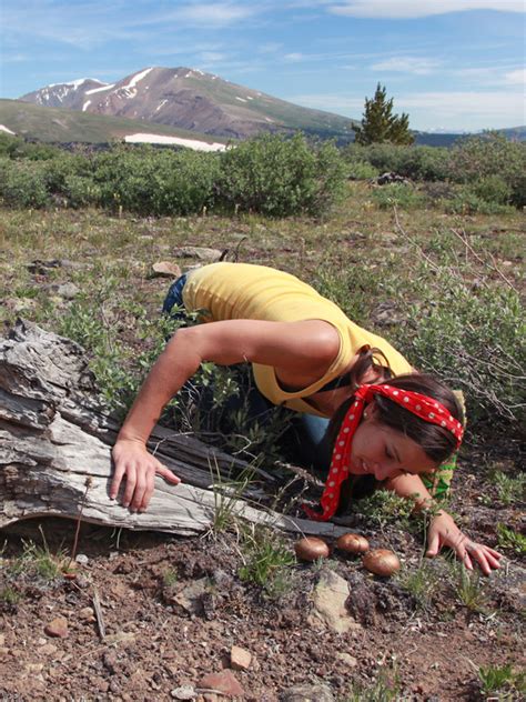 Alpine Tundra | World Biomes | The Wild Classroom