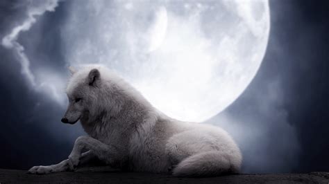 Wolf Moon Wallpapers - 4k, HD Wolf Moon Backgrounds on WallpaperBat