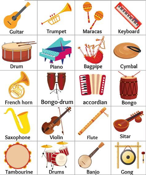 Musical Percussion Instruments With Names