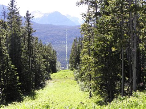 The U.S.-Canada border slash is a geographical border line come to life.