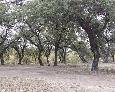 THE BEST Coahuila National Parks (Updated 2024) - Tripadvisor