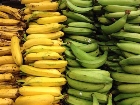 Fruits Of Ecuador: 5 Types Of Banana | Plantains fried, Plantains, Fruit