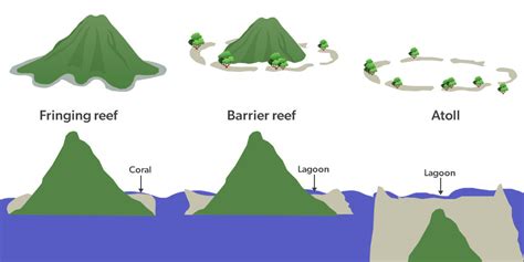 What are Coral Reefs? Their Types, and Importance