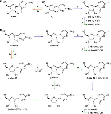 Thiolysis and oxidation of pyrimidine nucleosides. a i. H2S thiolysis... | Download Scientific ...