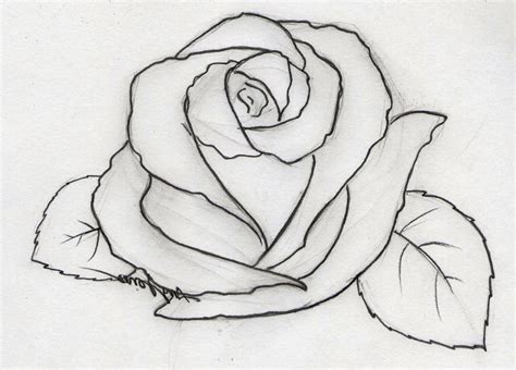 Pin by Martine Lub on leren tekenen | Pencil drawings of flowers ...