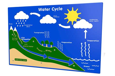 Water Cycle With Labels