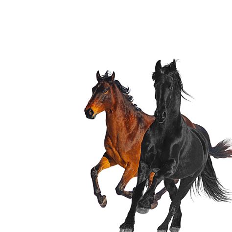 Lil Nas X – Old Town Road (Remix) Lyrics | Genius Lyrics