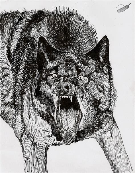 Angry Wolf by Domisea on DeviantArt