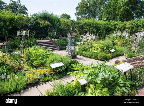 Medicinal plants in Queen's Garden, Kew Palace, Kew Royal Botanic Gardens, London, UK Stock ...