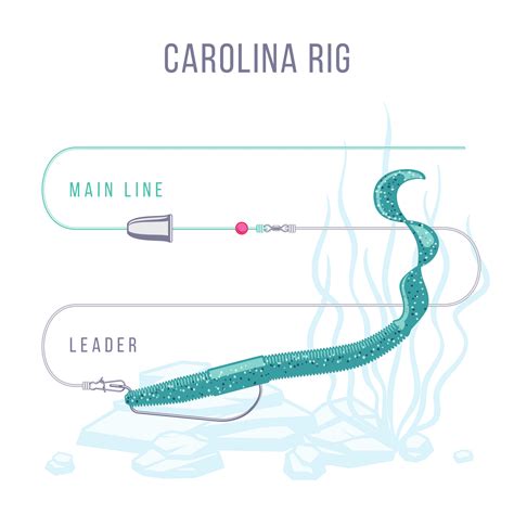 Perfect Carolina Rig for Dominating Bass Fishing: Expert Tips and Tricks