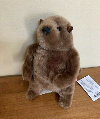 Mr. Douglas Cuddle plush 6" tall GROUNDHOG stuffed animal toy woodchuck ...