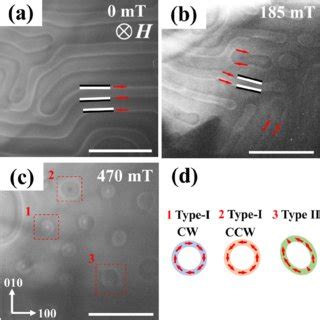 Variation of magnetic domain structures by tilting the thin plate from ...