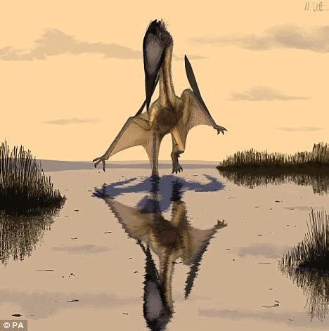 Uncovered: The pterosaur with a wingspan as long as a car | Daily Mail Online