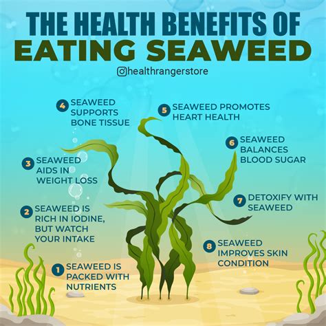 Health Benefits Of Seaweed