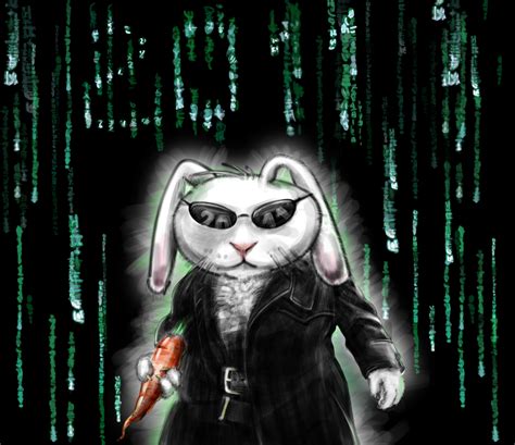 white rabbit matrix by ka4ok on DeviantArt