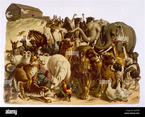 Two animals noah's ark hi-res stock photography and images - Alamy