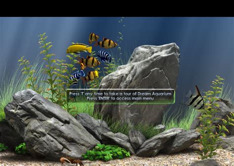 Dream Aquarium Screensaver - Download