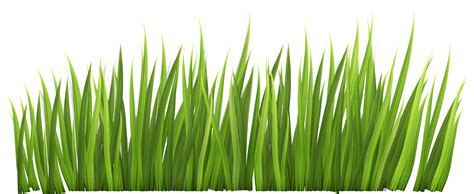 Free Grasses Cliparts, Download Free Grasses Cliparts png images, Free ClipArts on Clipart Library