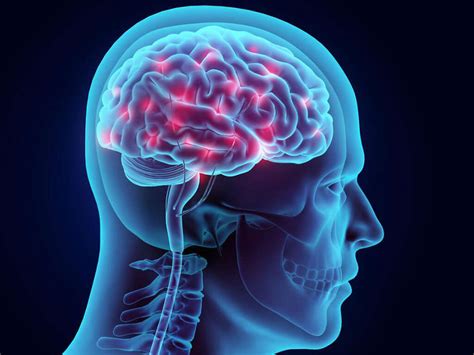 Brain Diseases: 10 Common Brain Diseases