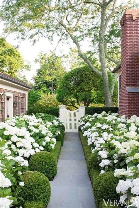 16 ideas de jardines de hortensias de ensueño