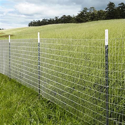 MTB Galvanized Welded Wire Mesh Garden Economy Fence 48" X50'-2"x3" 16GA Outdoor | eBay