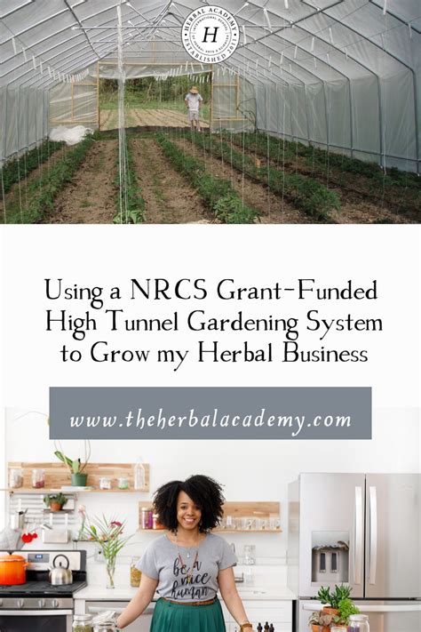 Using a NRCS Grant-Funded High Tunnel Gardening System to Grow my Herbal Business – Herbal Academy