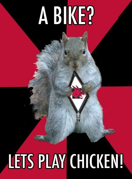 Squirrel Choose Red! | Student memes, Squirrel, Best university