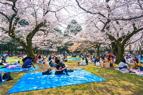 Yoyogi Park Travel Guide - Japan Rail Pass