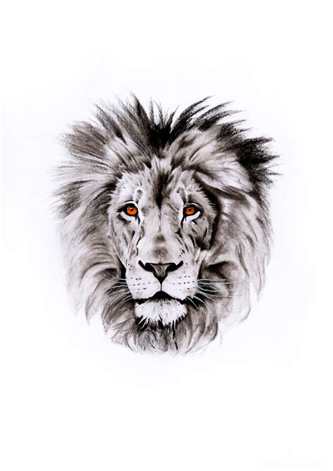 Lion charcoal drawing | Lion head tattoos, Lion tattoo, Lion tattoo design