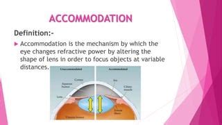 Near point and far point of accommodation | PPT