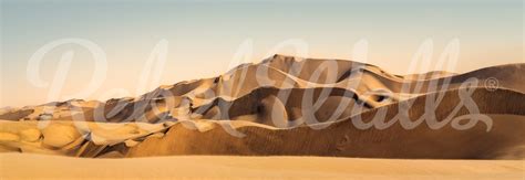 Desert Rock | Rebel Walls