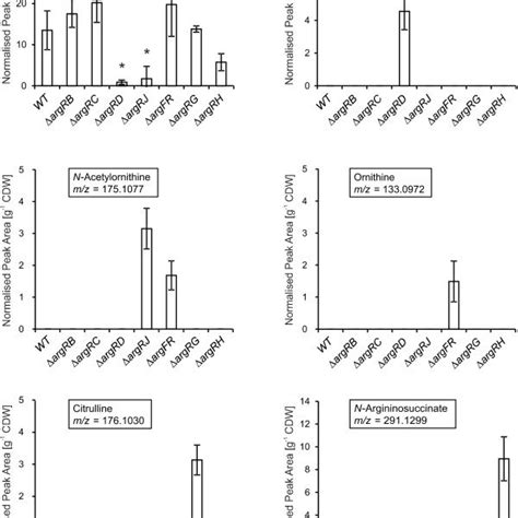 General pathway of arginine biosynthesis in prokaryotes including two... | Download Scientific ...