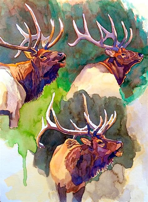 Impression Evergreen: Elk Studies - Watercolor