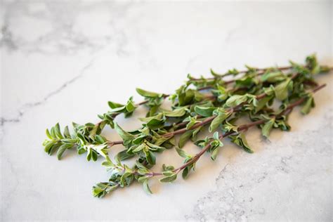 What Is Marjoram? Uses, Taste, and More