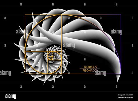 Fibonacci Sequence Golden ratio. Geometric shapes spiral. 3D Snail spiral. Sea shell of white ...