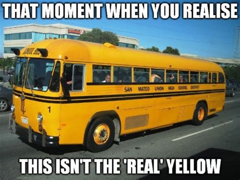 15 Perfect Bus Memes