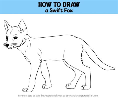 How to Draw a Swift Fox (Wild Animals) Step by Step ...