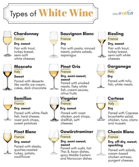 Different Types of White Wine a Wine-Lover Should Know About