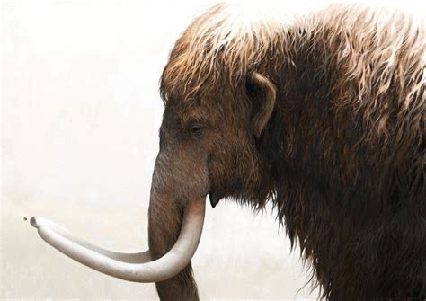 Woolly mammoth and a painted lady by Renum63 on DeviantArt | Wooly mammoth, Prehistoric animals ...