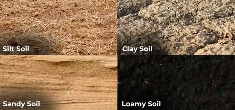 Types of Soil : Sandy Soil, Clay Soil, Slit Soil and Loamy Soil ...